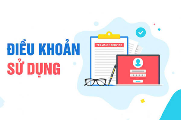Các Nội Dung Chính Trong Điều Khoản Sự Dụng