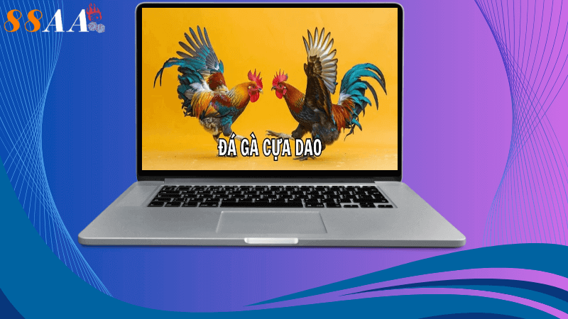 Các bước chuẩn bị trước khi chơi Đá gà AA88