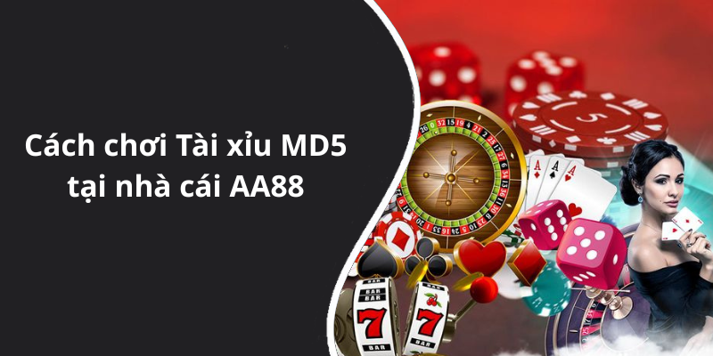 Cách chơi Tài xỉu MD5 tại nhà cái AA88