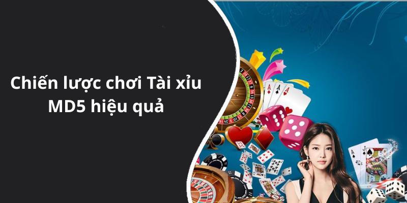 Chiến lược chơi Tài xỉu MD5 hiệu quả