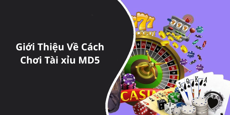 Giới Thiệu Về Cách Chơi Tài xỉu MD5