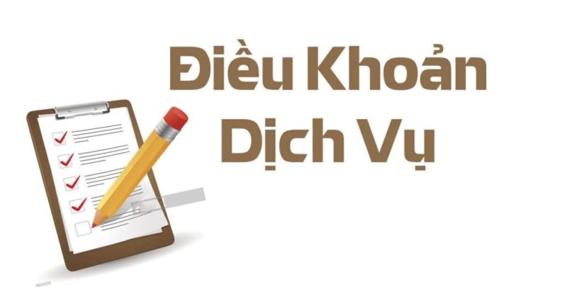 Những Lưu Ý Quan Trọng Khi Tuân Thủ Điều Khoản