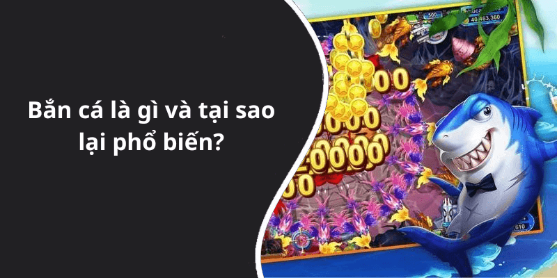 Bắn cá là gì và tại sao lại phổ biến
