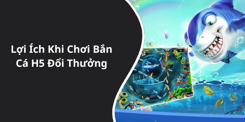 Lợi Ích Khi Chơi Bắn Cá H5 Đổi Thưởng