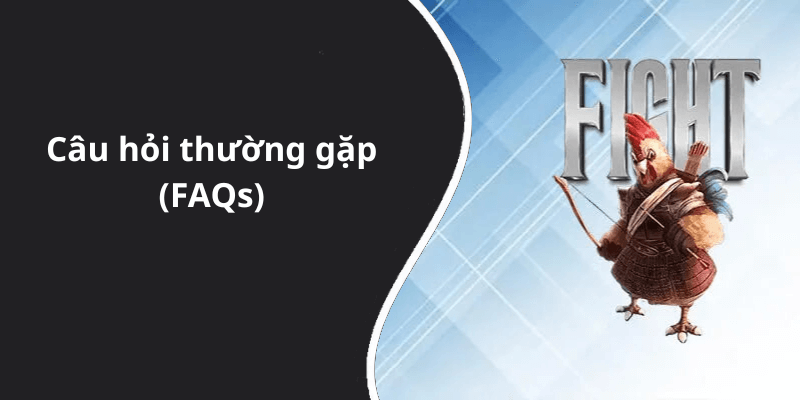 Câu hỏi thường gặp (FAQs)