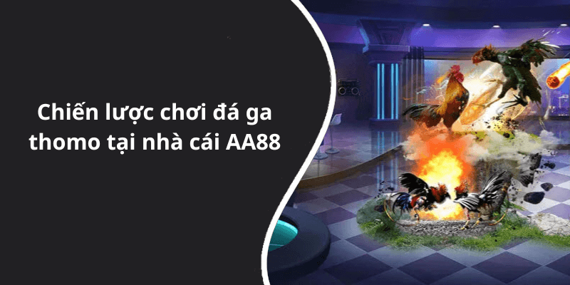 Chiến lược chơi đá ga thomo tại nhà cái AA88