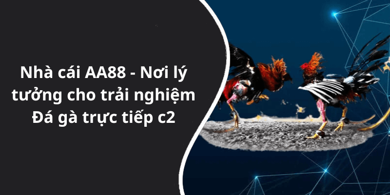 Nhà cái AA88 - Nơi lý tưởng cho trải nghiệm Đá gà trực tiếp c2