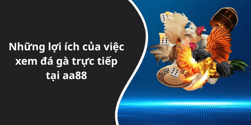 Những lợi ích của việc xem đá gà trực tiếp tại aa88