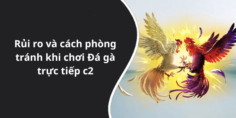 Rủi ro và cách phòng tránh khi chơi Đá gà trực tiếp c2