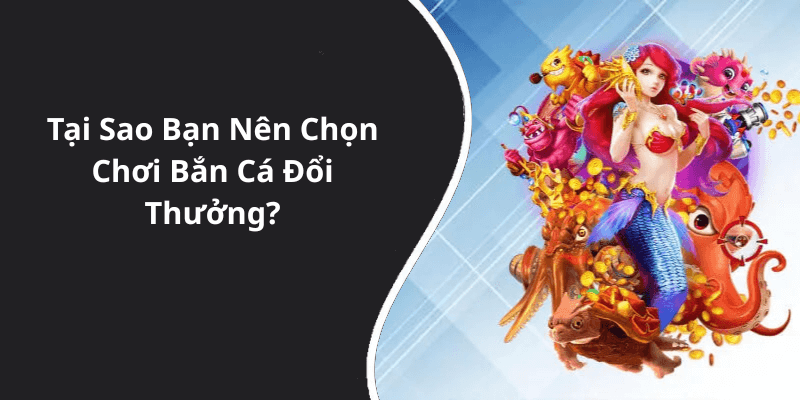 Tại Sao Bạn Nên Chọn Chơi Bắn Cá Đổi Thưởng