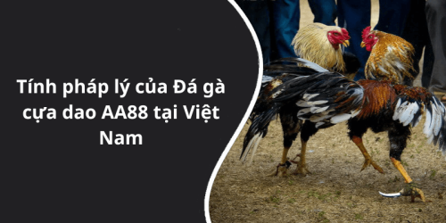 Tính pháp lý của Đá gà cựa dao AA88 tại Việt Nam